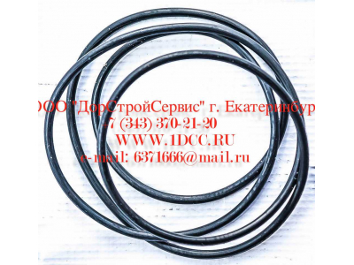 Кольцо уплотнительное ø338х3.55 гидромуфты ГТР CDM 833 Lonking CDM (СДМ) ø338х3.55 фото 1 Тверь
