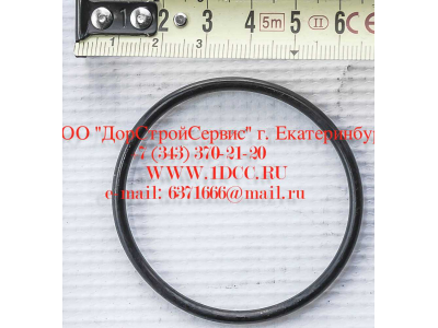 Кольцо уплотнительное ø346х3.5 гидромуфты ГТР CDM 855, 843 Lonking CDM (СДМ) 402236 фото 1 Тверь