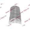 Вкладыши коренные двигателя CA6DL2 (36D) F FAW (ФАВ) 1002034A36D/1002035A36D для самосвала фото 3 Тверь