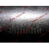 Поршневая группа WD12/WD618 (6 гильз, 6 поршней (..0017), 6 пальцев, комплект колец) SH SHAANXI / Shacman (ШАНКСИ / Шакман) 61800010125 фото 9 Тверь